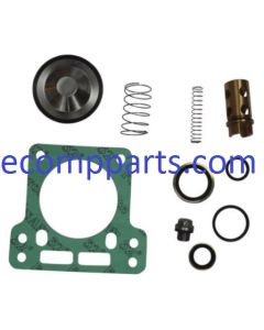 2901021702 (2901-0217-02) Oil Check Valve Kit 